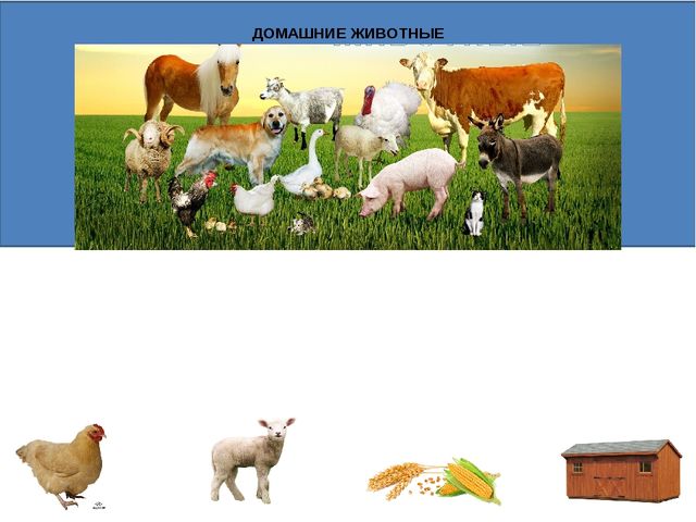 Настольная игра "Домашние животные" (разрезные карточки)