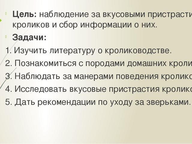 Презентация "Мои домашние питомцы"