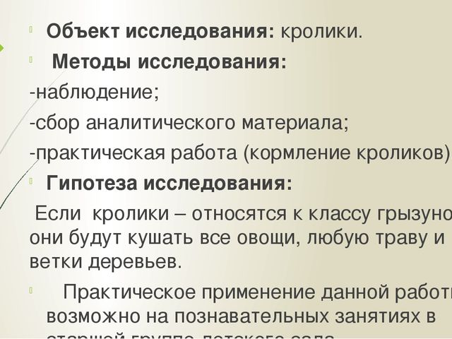 Презентация "Мои домашние питомцы"