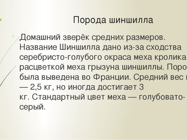 Презентация "Мои домашние питомцы"