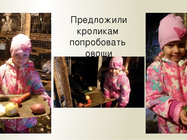 Презентация "Мои домашние питомцы"