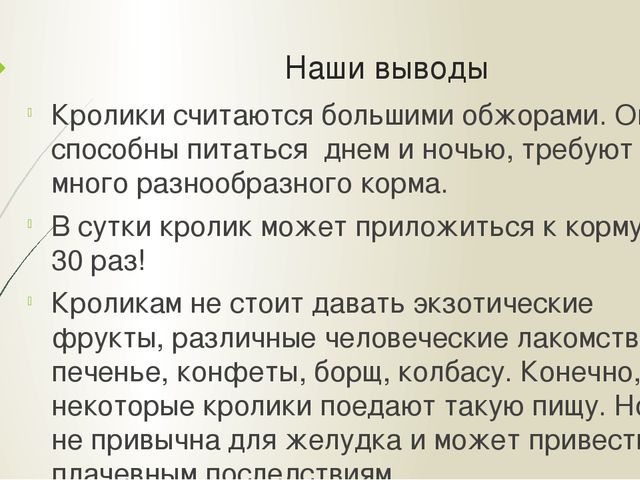 Презентация "Мои домашние питомцы"