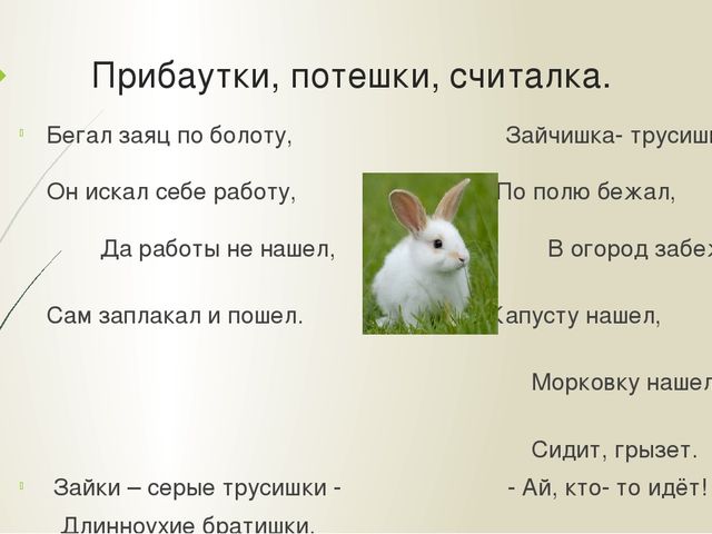 Презентация "Мои домашние питомцы"