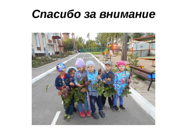 Презентация по оформлению территории детского сада "Наш огород"