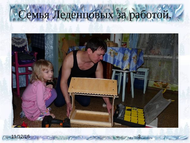 Презентация проекта "Покормите птиц зимой"