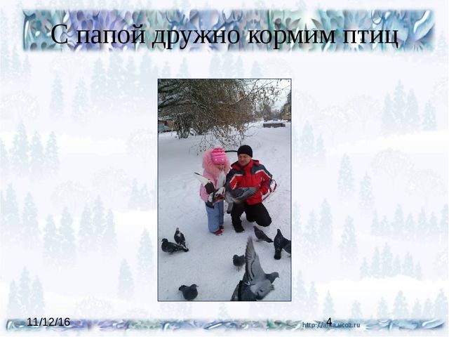 Презентация проекта "Покормите птиц зимой"