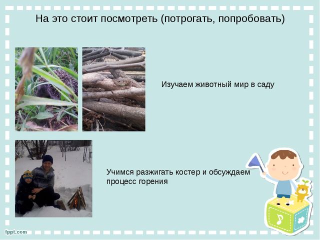 Презентация "Познание ребенком окружающего мира"