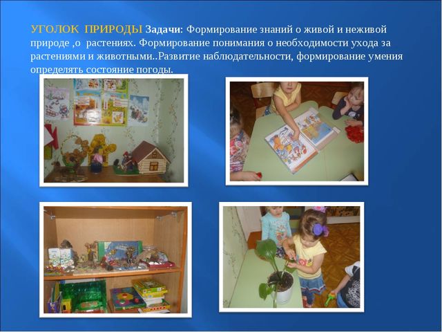 Предметно-развивающая среда во второй младшей группе