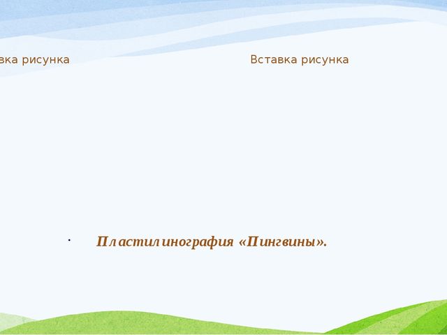 Презентация Проект «Животные жарких и холодных стран». (старшая группа)