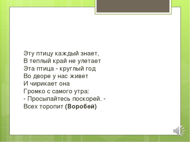 Презентация по экологии на тему "Зимующие птицы"