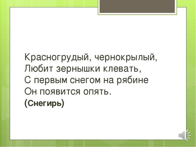 Презентация по экологии на тему "Зимующие птицы"