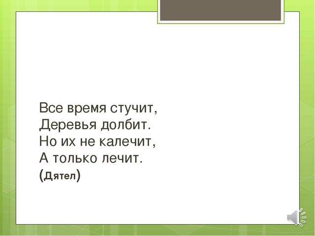 Презентация по экологии на тему "Зимующие птицы"