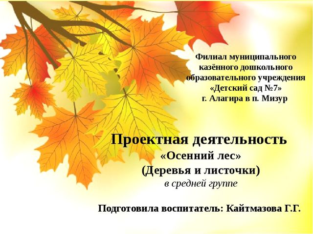 Проектная деятельность «Осенний лес» (Деревья и листочки) в средней группе