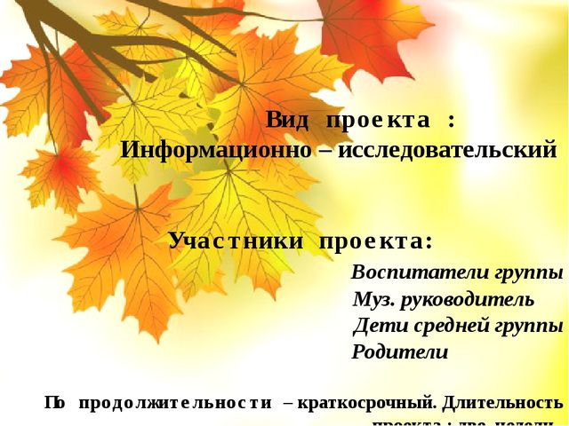 Проектная деятельность «Осенний лес» (Деревья и листочки) в средней группе