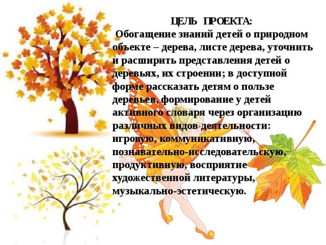 Проектная деятельность «Осенний лес» (Деревья и листочки) в средней группе