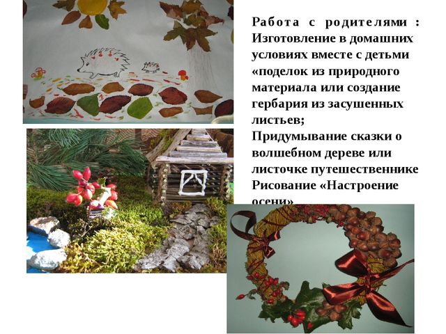Проектная деятельность «Осенний лес» (Деревья и листочки) в средней группе