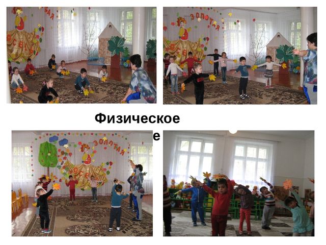 Проектная деятельность «Осенний лес» (Деревья и листочки) в средней группе