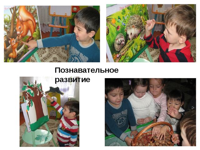 Проектная деятельность «Осенний лес» (Деревья и листочки) в средней группе