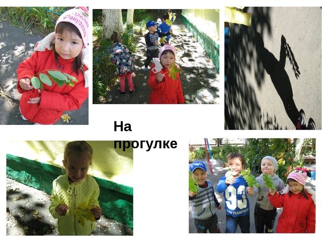 Проектная деятельность «Осенний лес» (Деревья и листочки) в средней группе