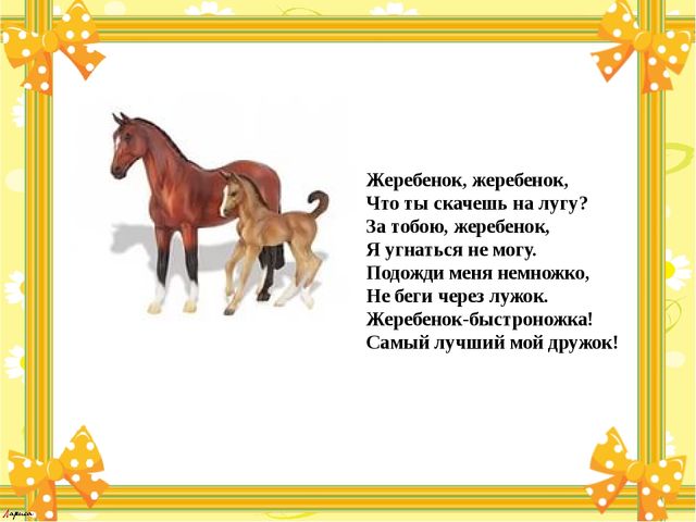 Презентация для детей "Мамы и их детёныши"