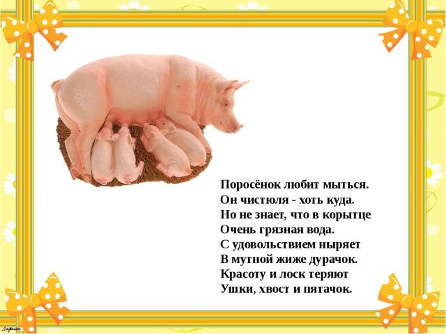 Презентация для детей "Мамы и их детёныши"
