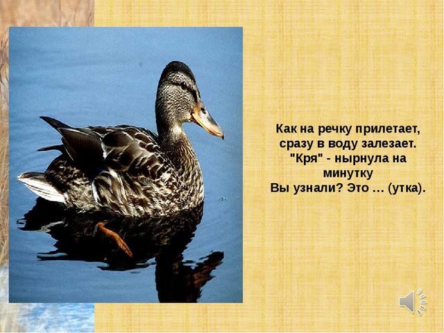 Презентация по теме "Перелетные птицы"