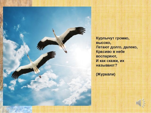 Презентация по теме "Перелетные птицы"