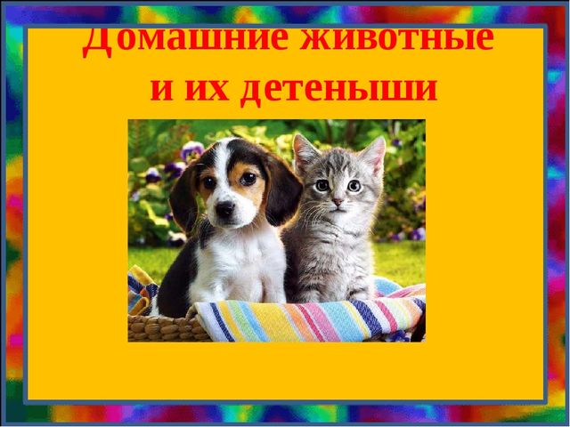 Презентация на тему: "Домашние животные и их детеныши"