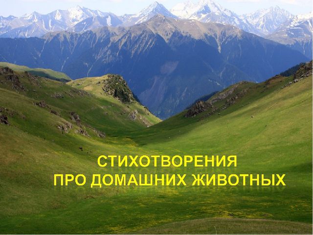 Презентация на тему: "Домашние животные и их детеныши"