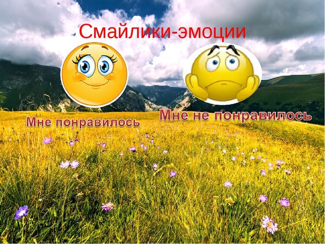 Презентация на тему: "Домашние животные и их детеныши"