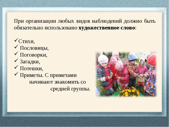 Презентация "Документация воспитателя дошкольной организации"