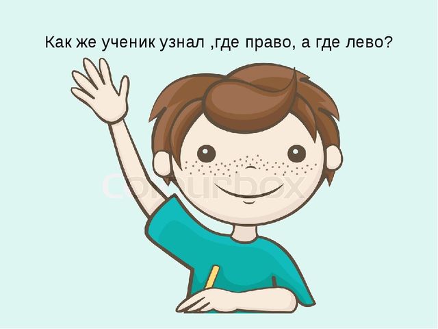 Презентация к занятию по математике для дошкольников на тему "Справа, слева..." по учебнику Л.Г.Петерсон "Раз - ступенька, два - ступенька..."