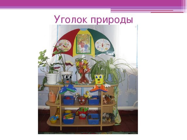 Презентация "Предметно-развивающая среда в группе раннего возраста"