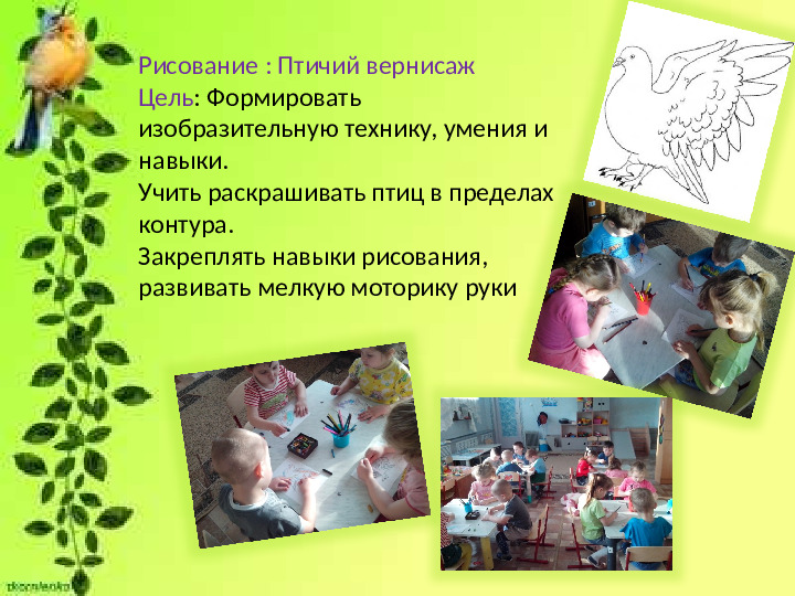 Презентация по ознакомлению с окружающим миром в детском саду на тему «Пернатые гости нашего участка»