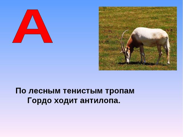 Презентация на тему "Азбука животных в стихах и загадках"