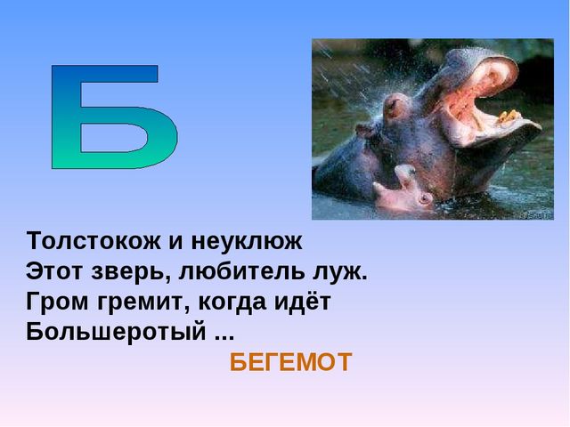 Презентация на тему "Азбука животных в стихах и загадках"