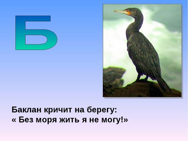 Презентация на тему "Азбука животных в стихах и загадках"