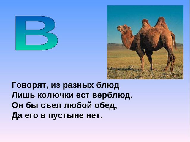 Презентация на тему "Азбука животных в стихах и загадках"