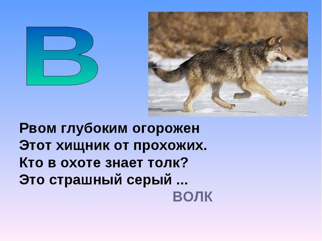 Презентация на тему "Азбука животных в стихах и загадках"