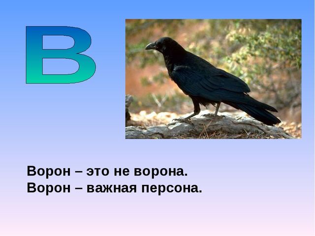 Презентация на тему "Азбука животных в стихах и загадках"