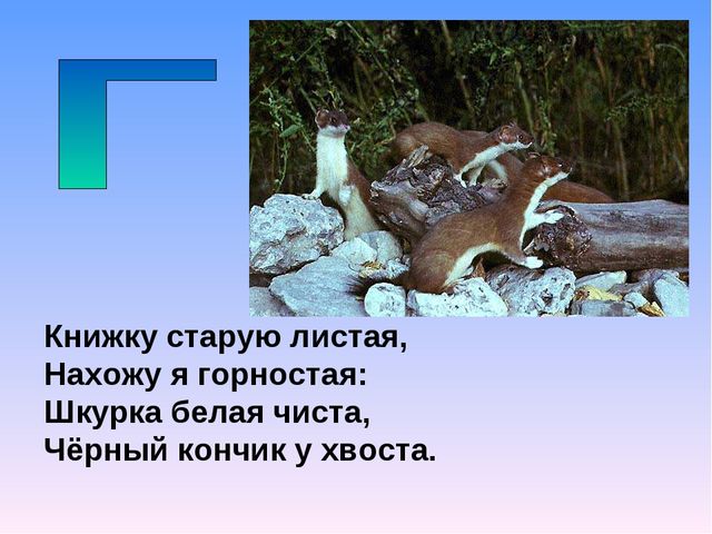 Презентация на тему "Азбука животных в стихах и загадках"