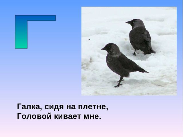 Презентация на тему "Азбука животных в стихах и загадках"
