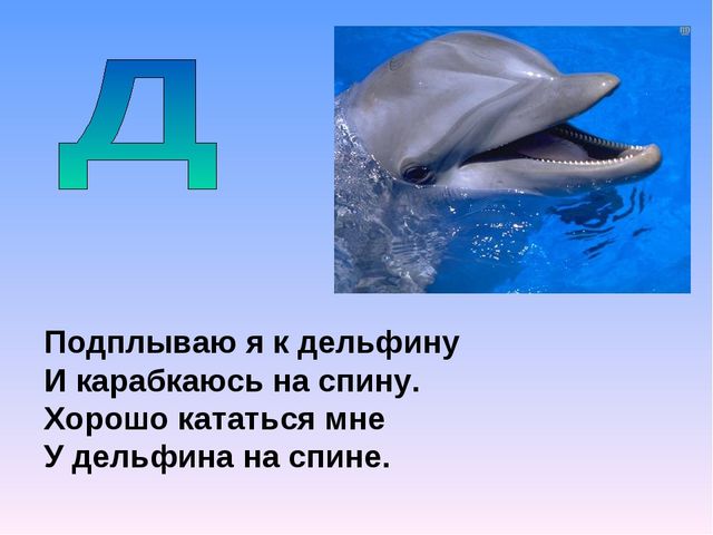Презентация на тему "Азбука животных в стихах и загадках"