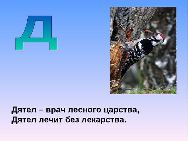 Презентация на тему "Азбука животных в стихах и загадках"