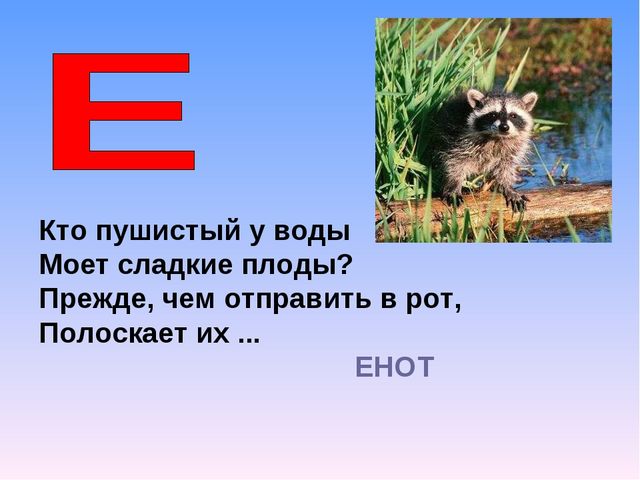 Презентация на тему "Азбука животных в стихах и загадках"