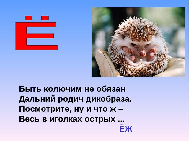Презентация на тему "Азбука животных в стихах и загадках"