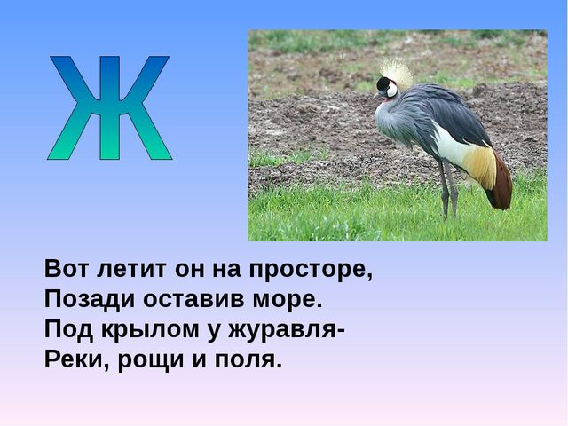 Презентация на тему "Азбука животных в стихах и загадках"