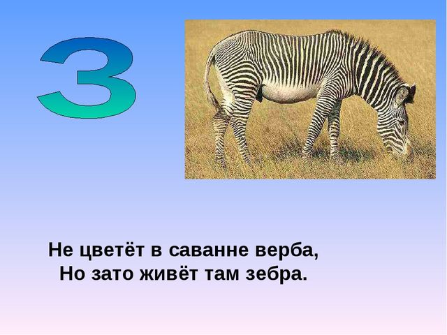 Презентация на тему "Азбука животных в стихах и загадках"