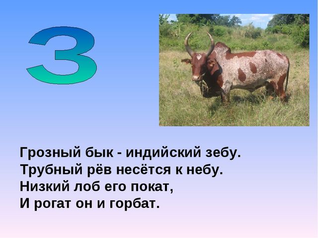 Презентация на тему "Азбука животных в стихах и загадках"