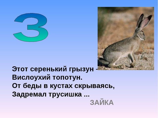 Презентация на тему "Азбука животных в стихах и загадках"